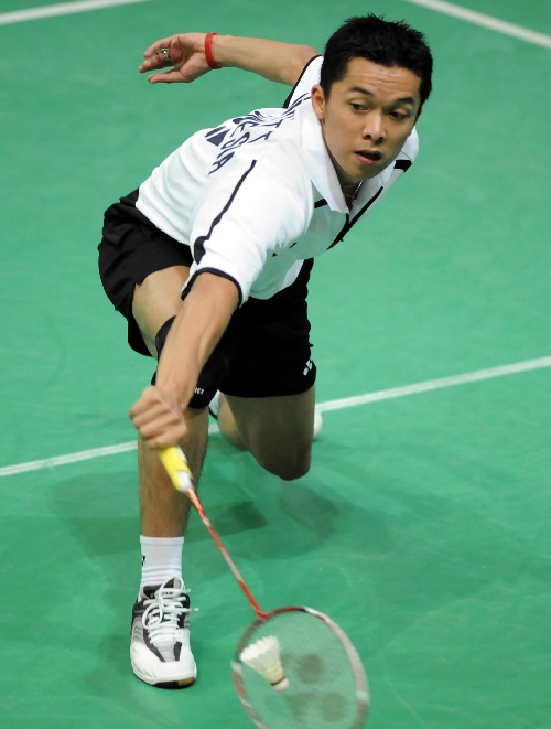 日本羽毛球队血洗中国羽毛球队，陶菲克制霸全场的简单介绍